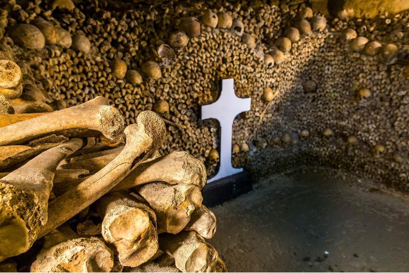 tour of catacombs in paris